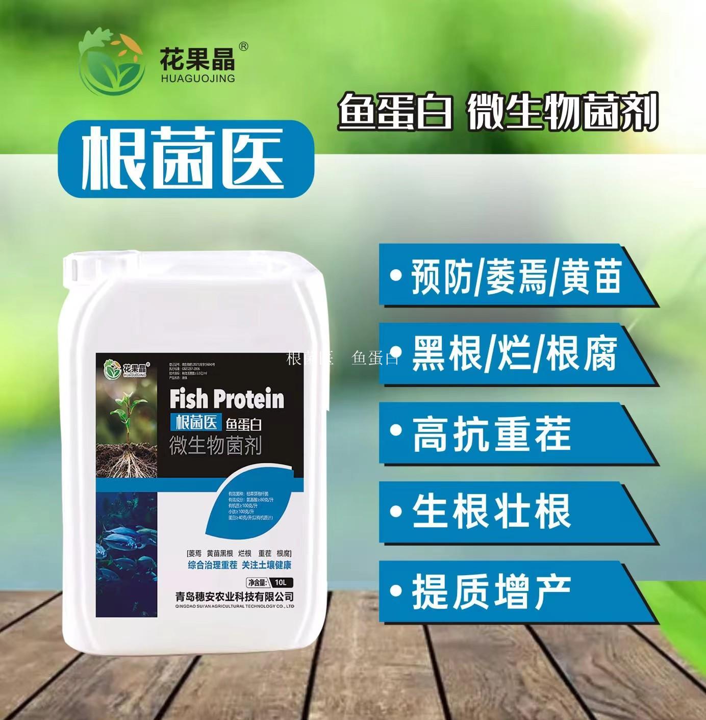 根菌医  鱼蛋白