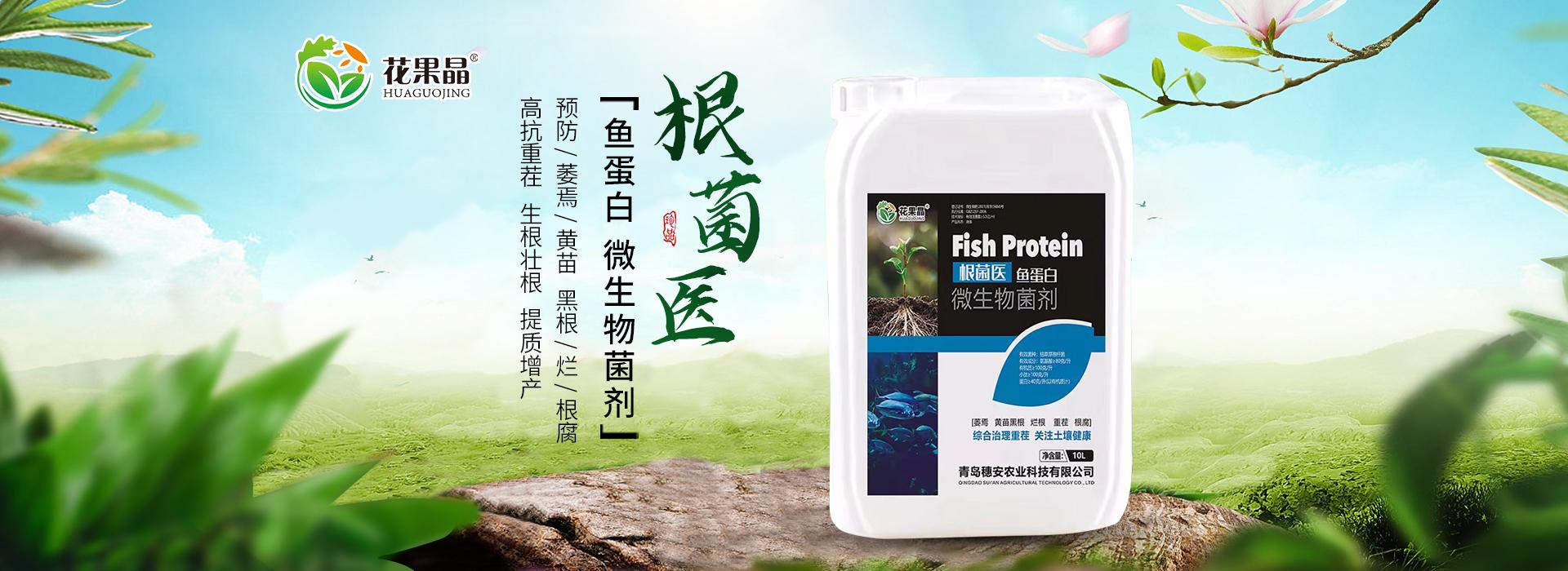 根菌医